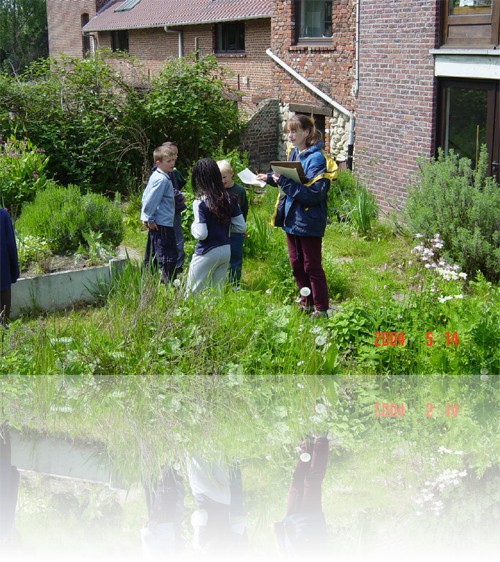 Jeux des plantes mdicinales